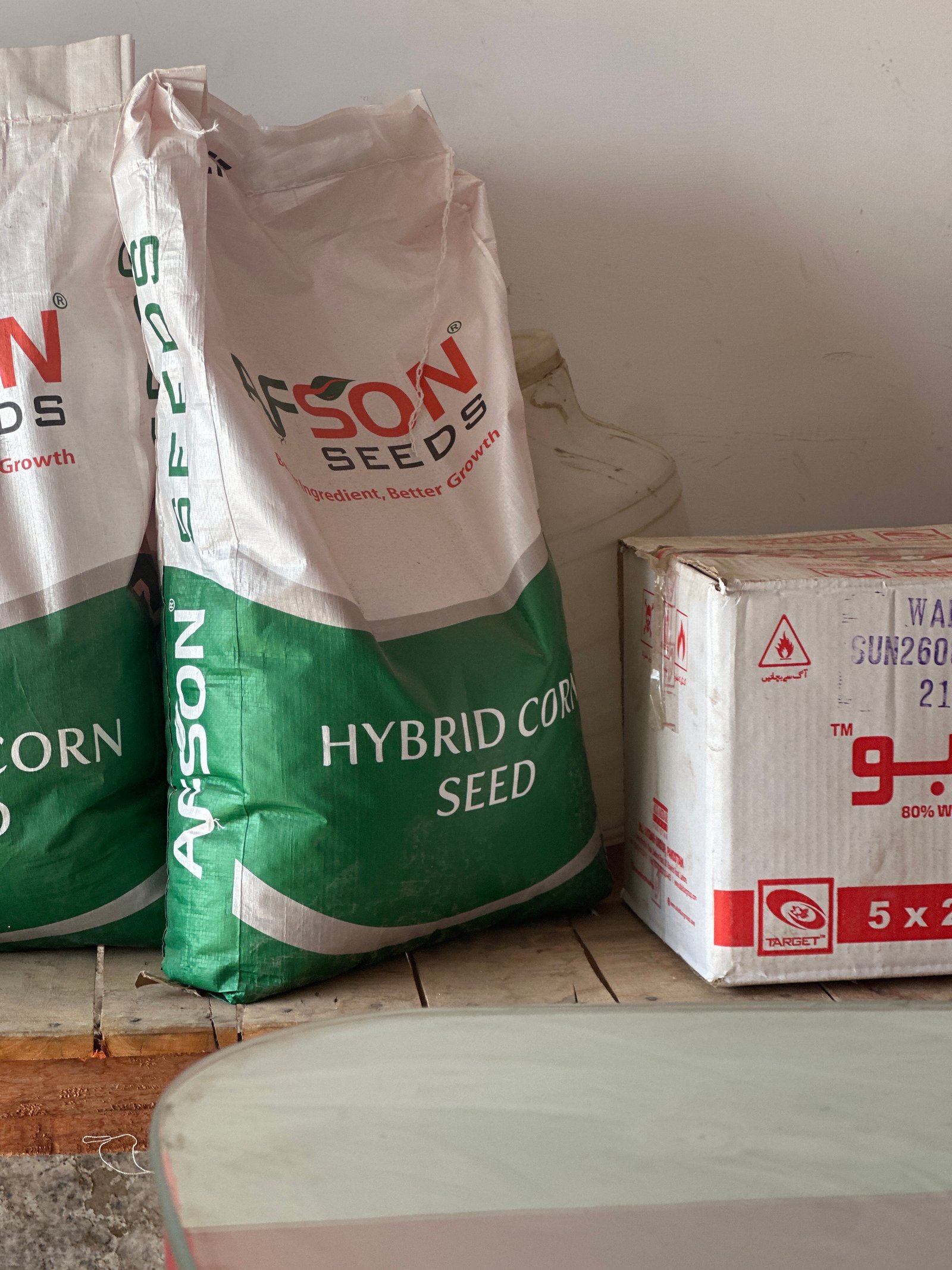 Afson maize seed